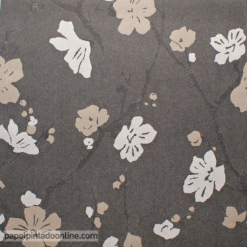 papel pared coordonné
